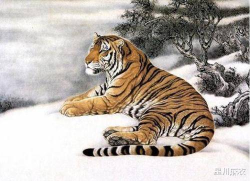 若非群玉山头见打一正确生肖详细解答、解释与落实、实证解答解释落实