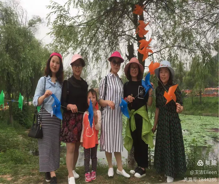 三五一群来不尽 品茗偿饼不知眠打一生肖精选解析、解释与落实、时代解答解释落实