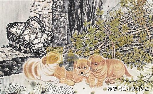 今期生肖讲故事吼中杂狗全可收是什么生肖的全面释义、解释与落实、详细解答解释落实