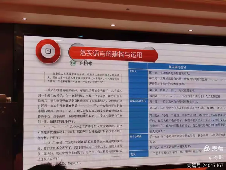 欲钱看高飞的鸟儿遇老鹰打一准确生肖请全面2释义、解释与落实、构建解答解释落实