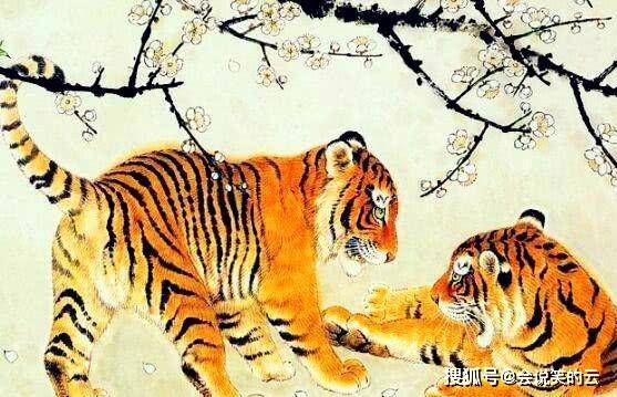 熟生巧巧则变变化多端不絮乱打一生肖,警惕虚假宣传,科学解答解释落实