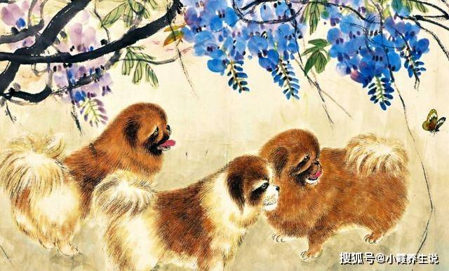 熟生巧巧则变变化多端不絮乱打一生肖,警惕虚假宣传,科学解答解释落实