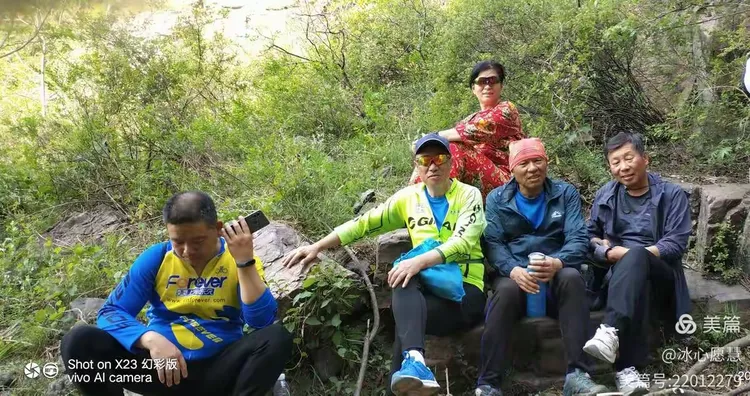三五一群来不尽 品茗偿饼不知眠打一生肖精选解析、解释与落实、时代解答解释落实